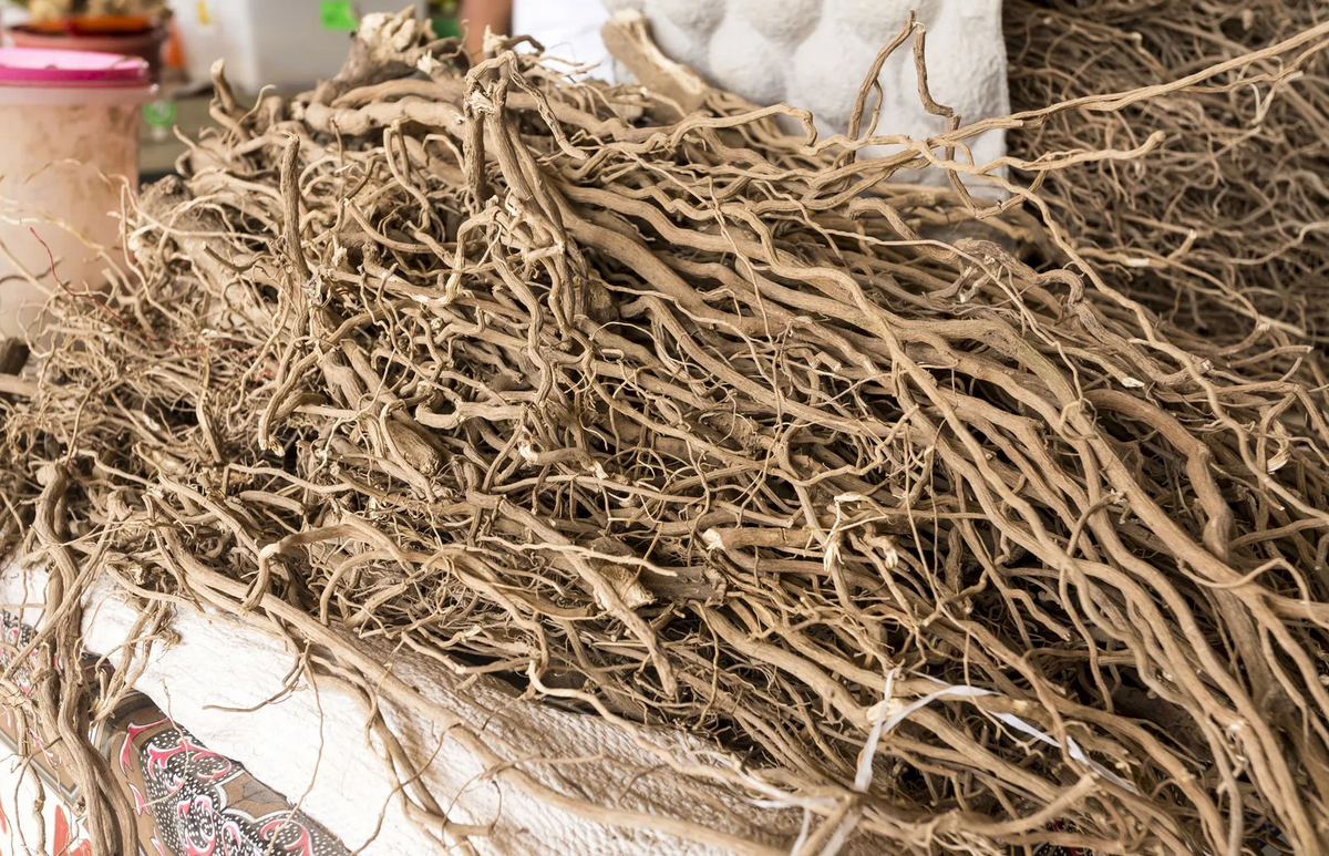 Organic Highest Quality Kava Root From the Farms in Vanuatu.